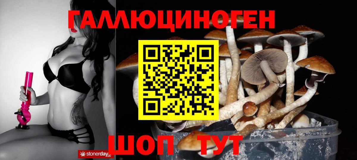 Галлюциногенные грибы Psilocybine cubensis Минеральные Воды