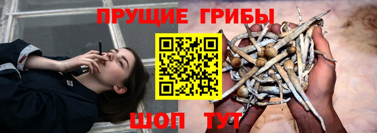 Минеральные Воды  как найти   Вход с VPN  Галлюциногенные грибы ЛСД 